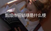  甄嬛传钮钴禄是什么梗