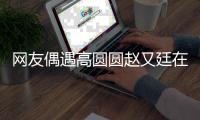  网友偶遇高圆圆赵又廷在成都逛街 亲密挽手好甜蜜