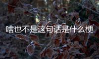  啥也不是这句话是什么梗