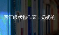  四年级状物作文：奶奶的花布袋