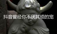  抖音曾经你不厌其烦的宠着我是什么歌 《黑色》完整版歌词
