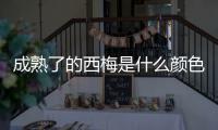  成熟了的西梅是什么颜色的