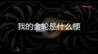  我的金轮是什么梗