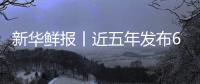  新华鲜报丨近五年发布66项国标 中医药标准化让诊疗更安心