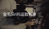  金毛Siri托运致死事件完整过程始末回顾 陈乔恩为金毛siri发声