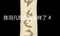  陈羽凡现在怎么样了 45岁陈羽凡和朋友聚会登台献唱
