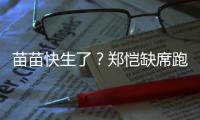  苗苗快生了？郑恺缺席跑男录制 疑想全心陪伴妻子